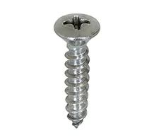 SS 316 / 316L / 316H Screw